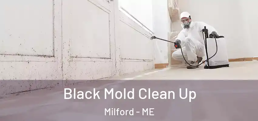  Black Mold Clean Up Milford - ME