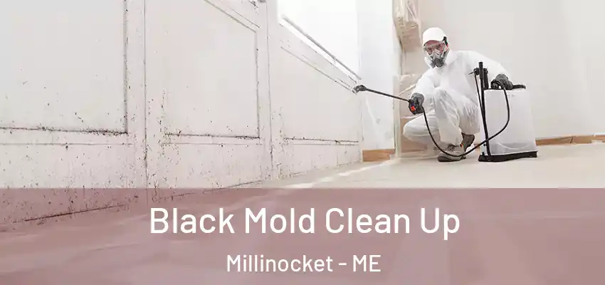  Black Mold Clean Up Millinocket - ME