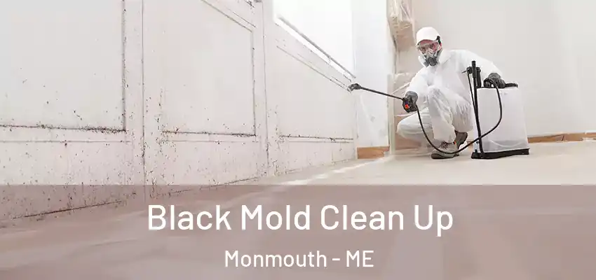 Black Mold Clean Up Monmouth - ME