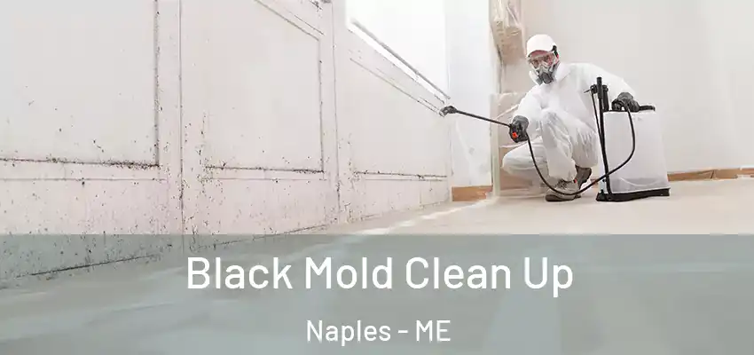  Black Mold Clean Up Naples - ME
