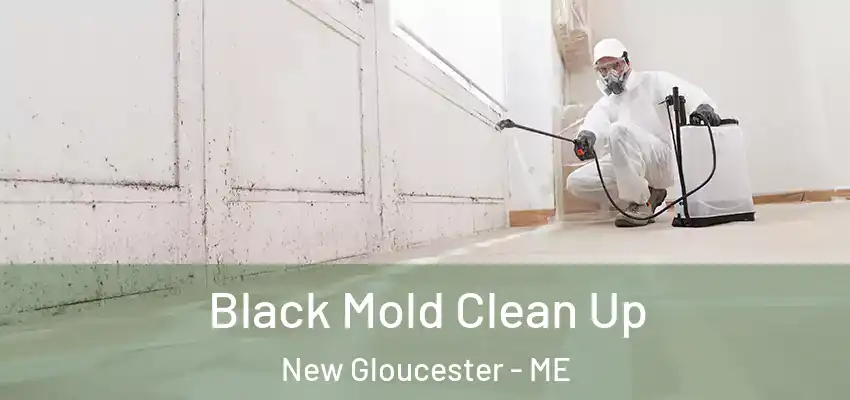  Black Mold Clean Up New Gloucester - ME