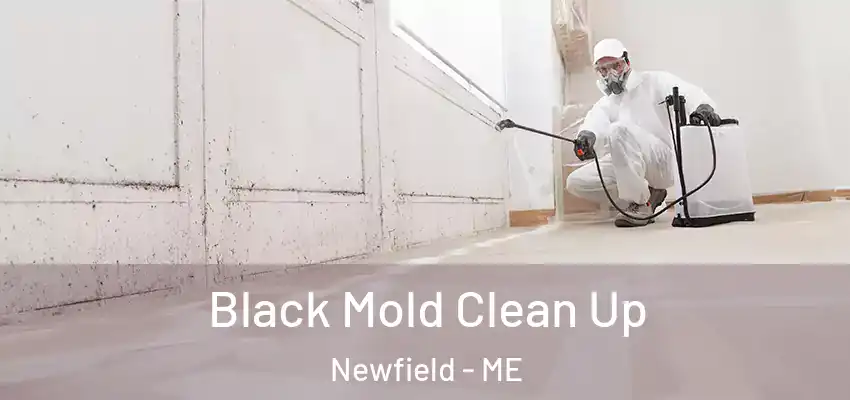  Black Mold Clean Up Newfield - ME
