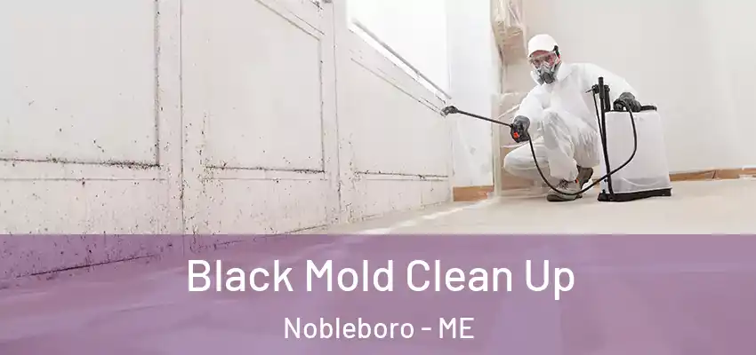  Black Mold Clean Up Nobleboro - ME