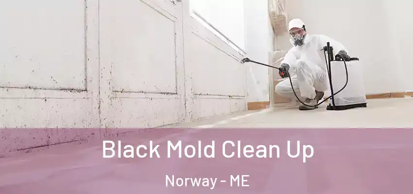 Black Mold Clean Up Norway - ME