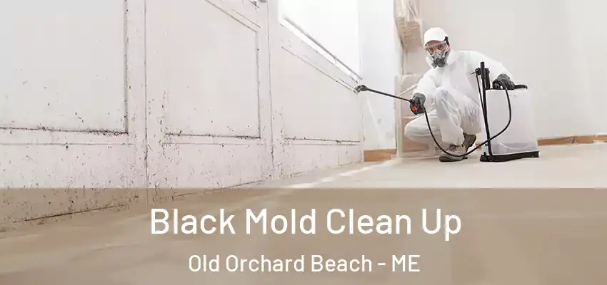 Black Mold Clean Up Old Orchard Beach - ME