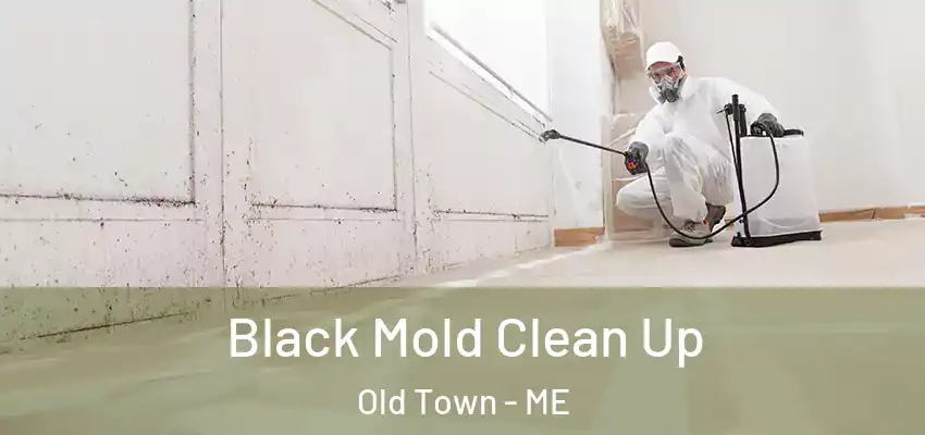 Black Mold Clean Up Old Town - ME