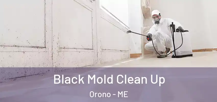 Black Mold Clean Up Orono - ME