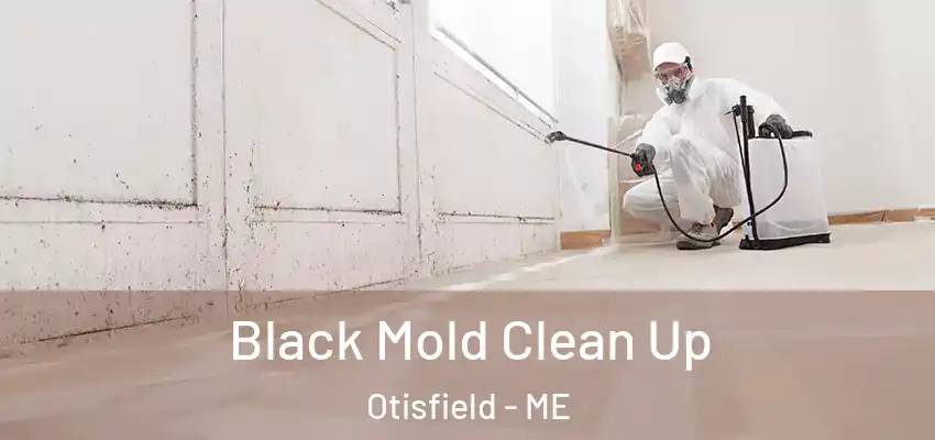 Black Mold Clean Up Otisfield - ME