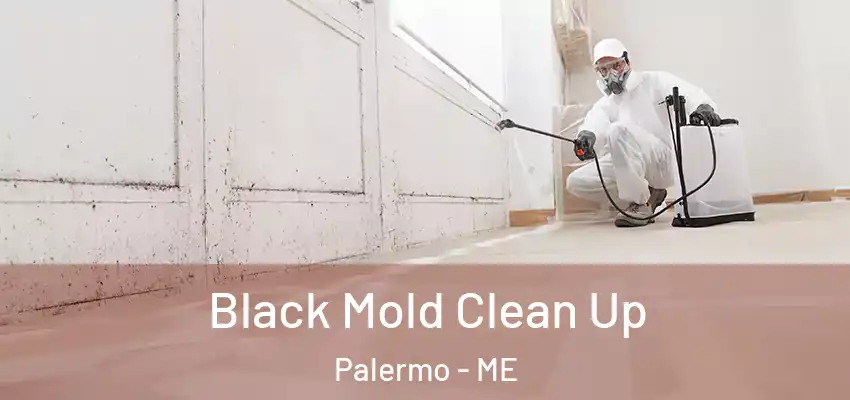 Black Mold Clean Up Palermo - ME