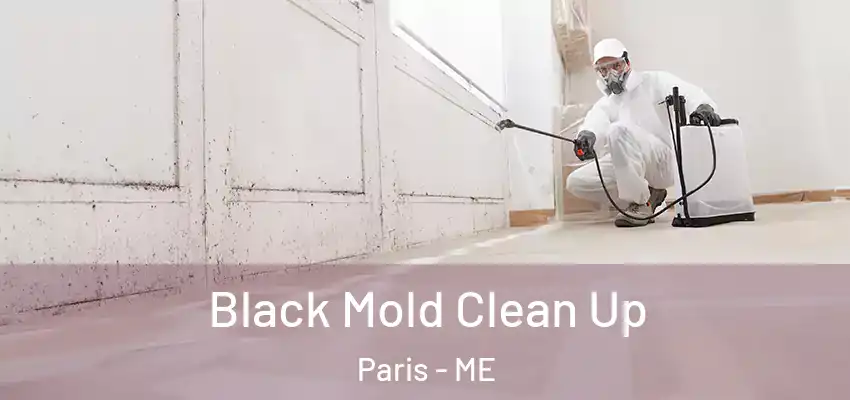 Black Mold Clean Up Paris - ME