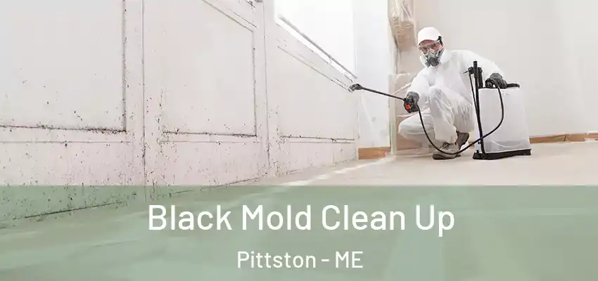Black Mold Clean Up Pittston - ME