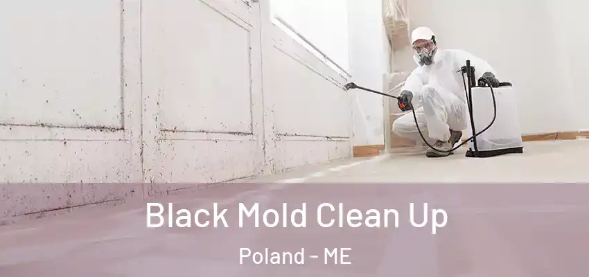 Black Mold Clean Up Poland - ME