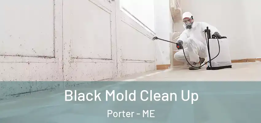 Black Mold Clean Up Porter - ME
