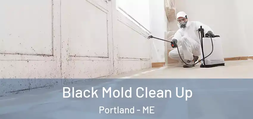 Black Mold Clean Up Portland - ME