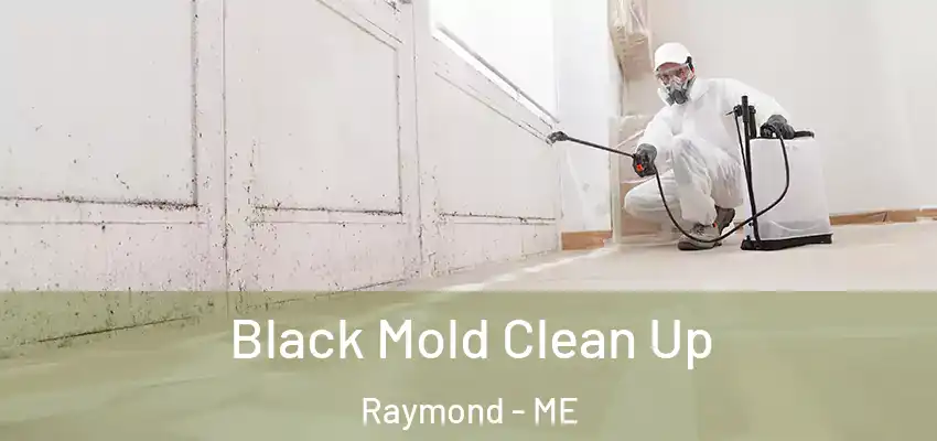 Black Mold Clean Up Raymond - ME