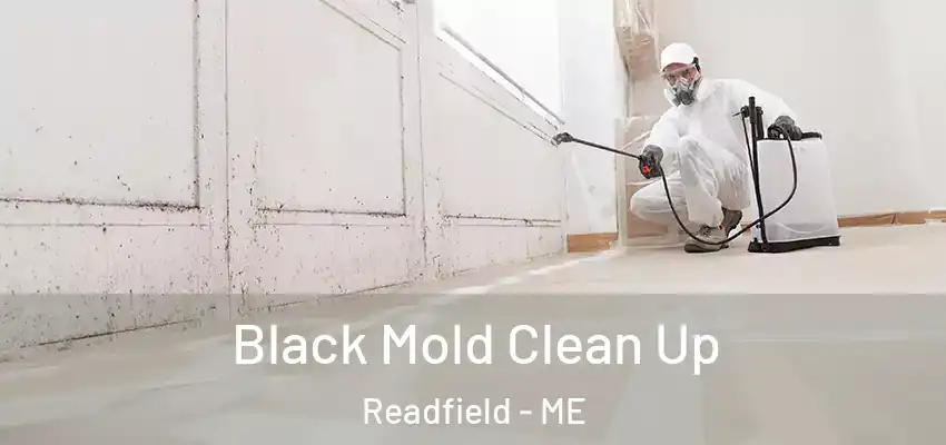 Black Mold Clean Up Readfield - ME