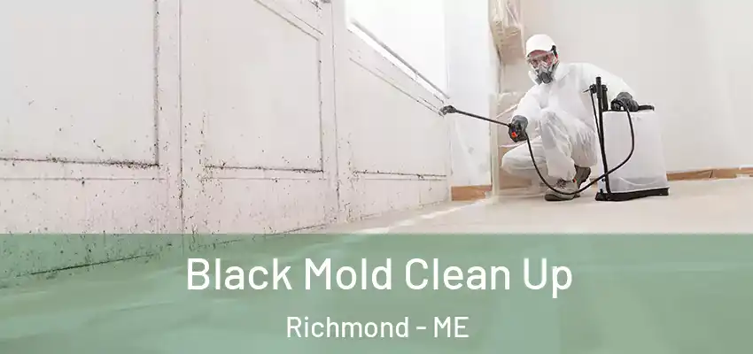 Black Mold Clean Up Richmond - ME