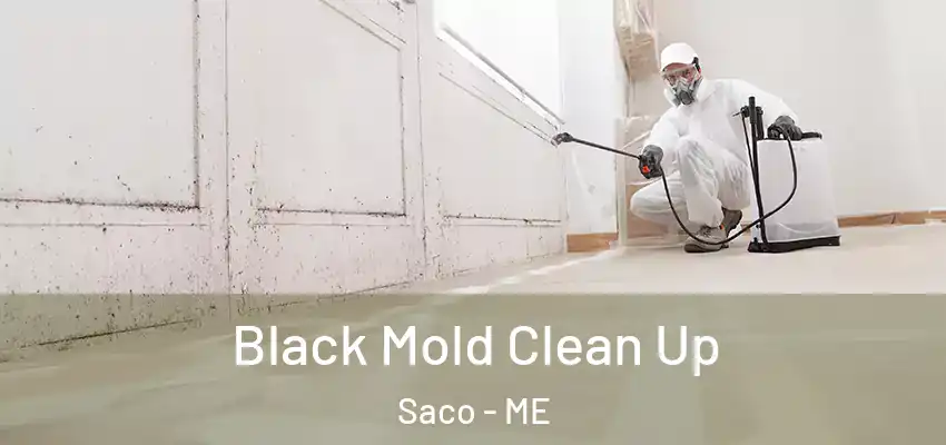  Black Mold Clean Up Saco - ME