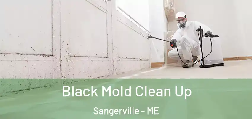  Black Mold Clean Up Sangerville - ME