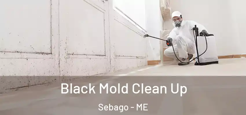 Black Mold Clean Up Sebago - ME