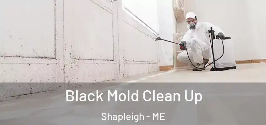 Black Mold Clean Up Shapleigh - ME