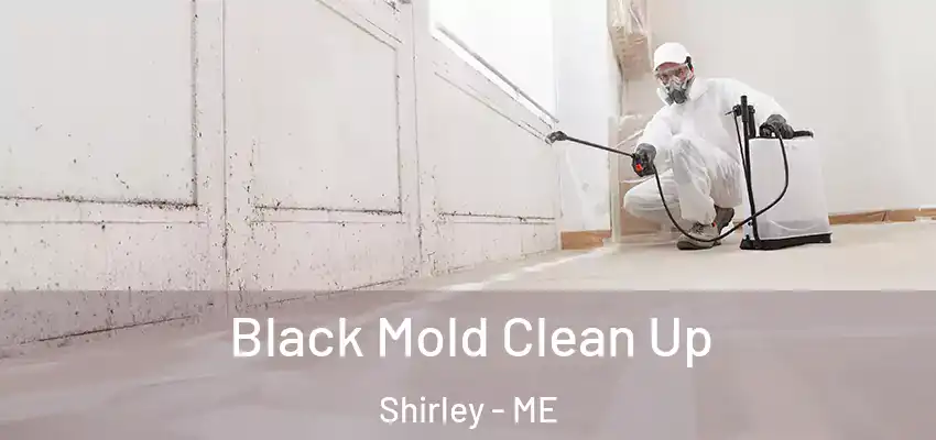 Black Mold Clean Up Shirley - ME