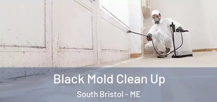 Black Mold Clean Up South Bristol - ME
