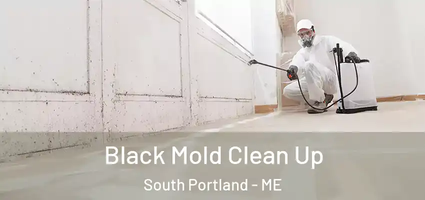 Black Mold Clean Up South Portland - ME