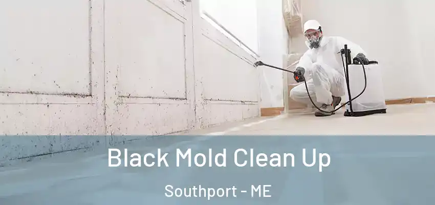  Black Mold Clean Up Southport - ME
