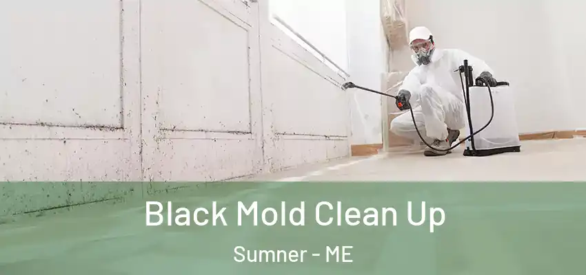 Black Mold Clean Up Sumner - ME