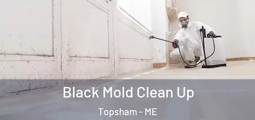 Black Mold Clean Up Topsham - ME