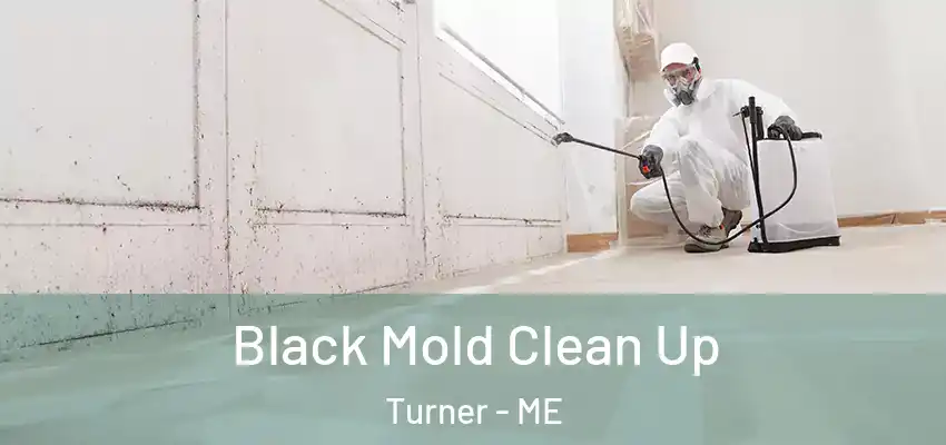 Black Mold Clean Up Turner - ME