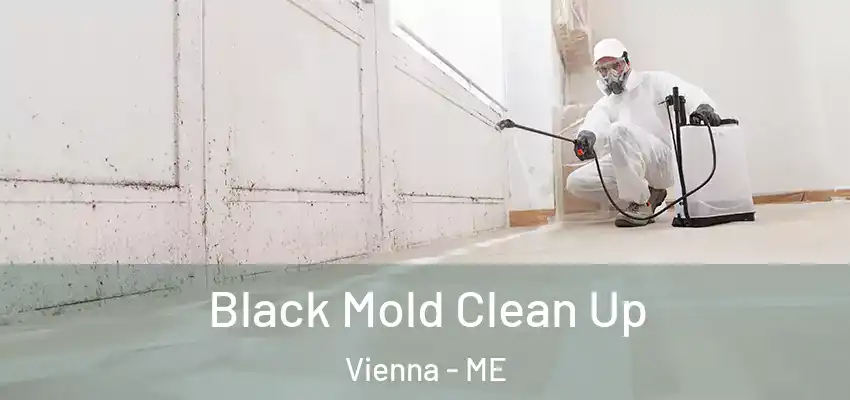  Black Mold Clean Up Vienna - ME