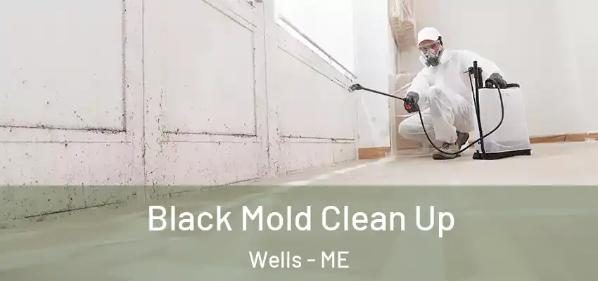 Black Mold Clean Up Wells - ME