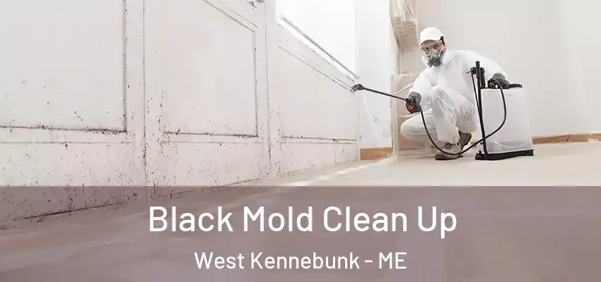 Black Mold Clean Up West Kennebunk - ME