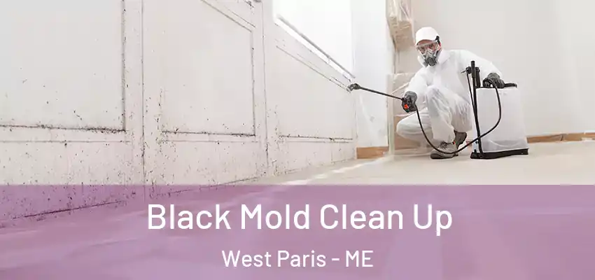 Black Mold Clean Up West Paris - ME