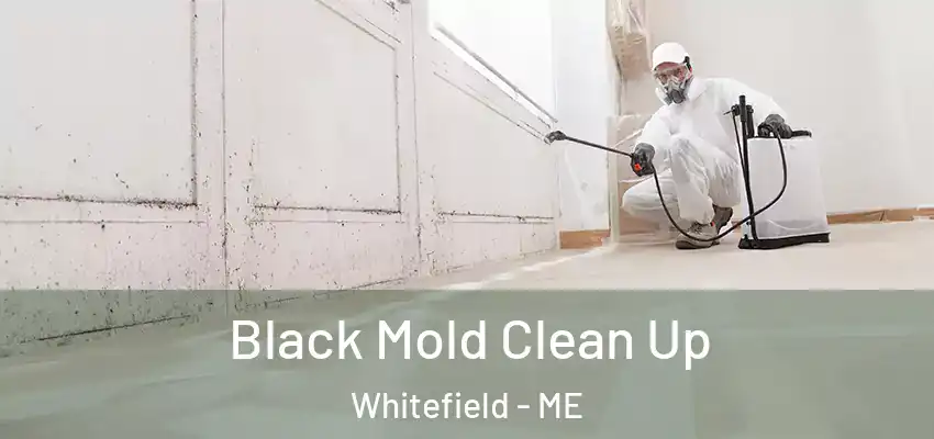  Black Mold Clean Up Whitefield - ME