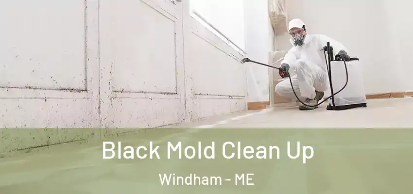  Black Mold Clean Up Windham - ME