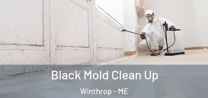 Black Mold Clean Up Winthrop - ME