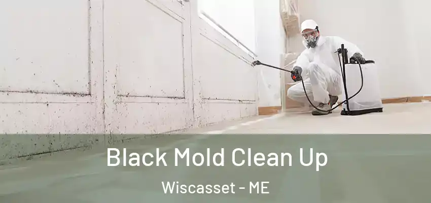  Black Mold Clean Up Wiscasset - ME