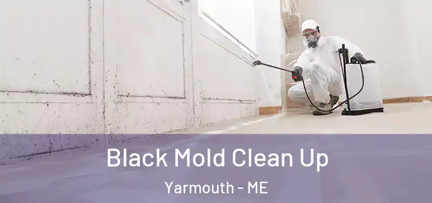Black Mold Clean Up Yarmouth - ME