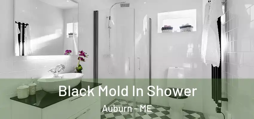 Black Mold In Shower Auburn - ME
