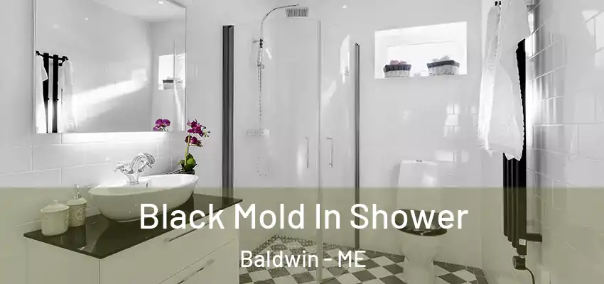  Black Mold In Shower Baldwin - ME