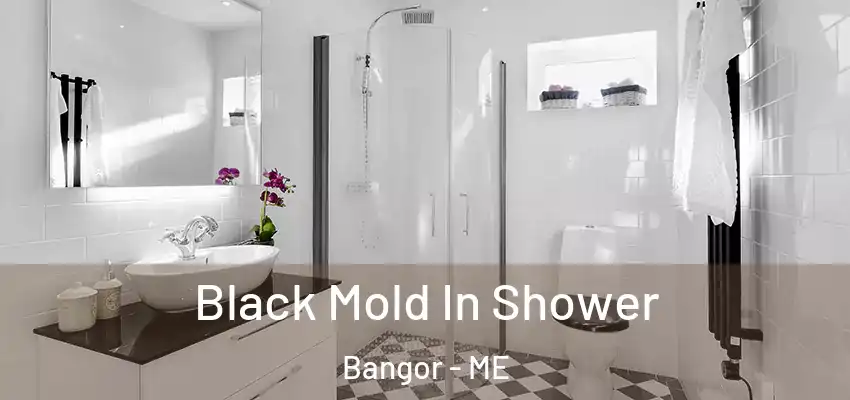 Black Mold In Shower Bangor - ME