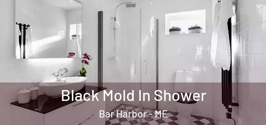 Black Mold In Shower Bar Harbor - ME