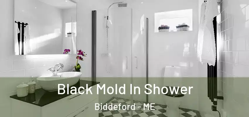 Black Mold In Shower Biddeford - ME