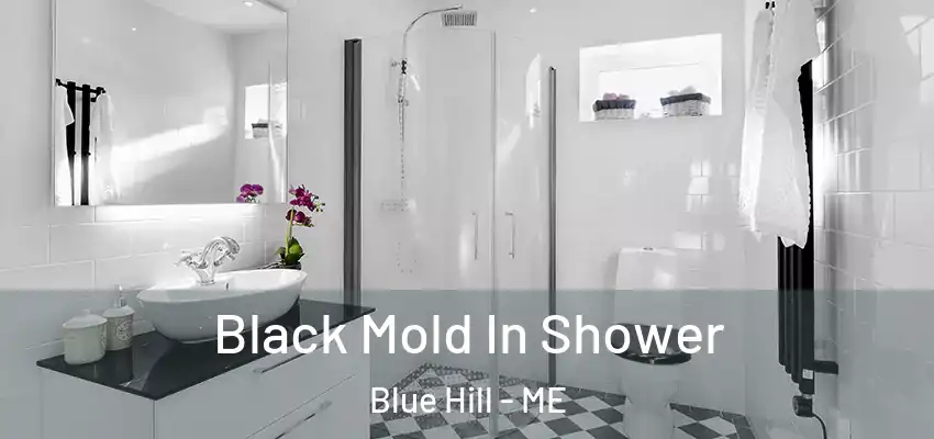  Black Mold In Shower Blue Hill - ME