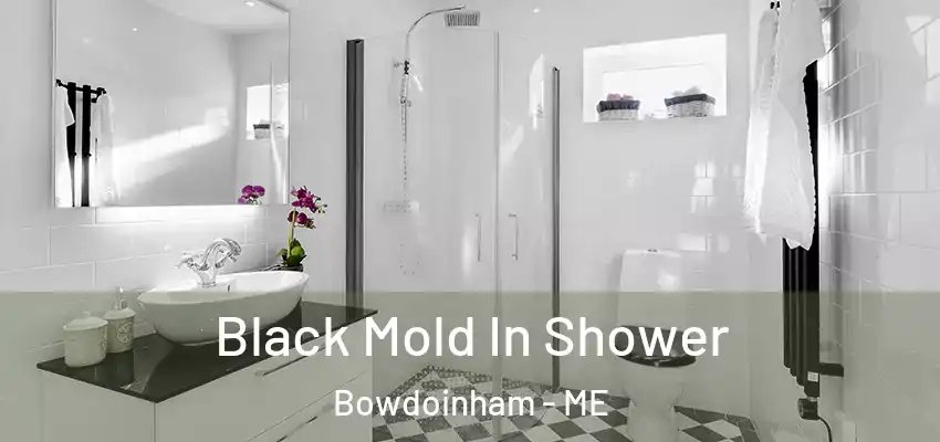 Black Mold In Shower Bowdoinham - ME
