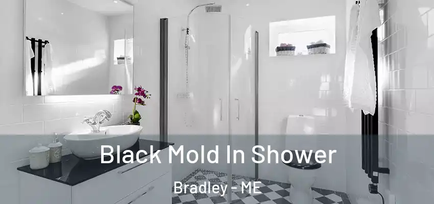 Black Mold In Shower Bradley - ME