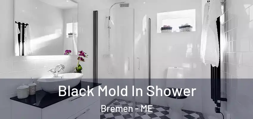 Black Mold In Shower Bremen - ME